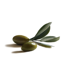 ingredients_olive