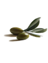 ingredients_olive