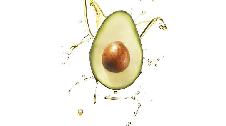 avocado2_DESKTOP