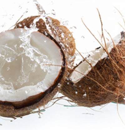 coconut1_DESKTOP cropped(2)