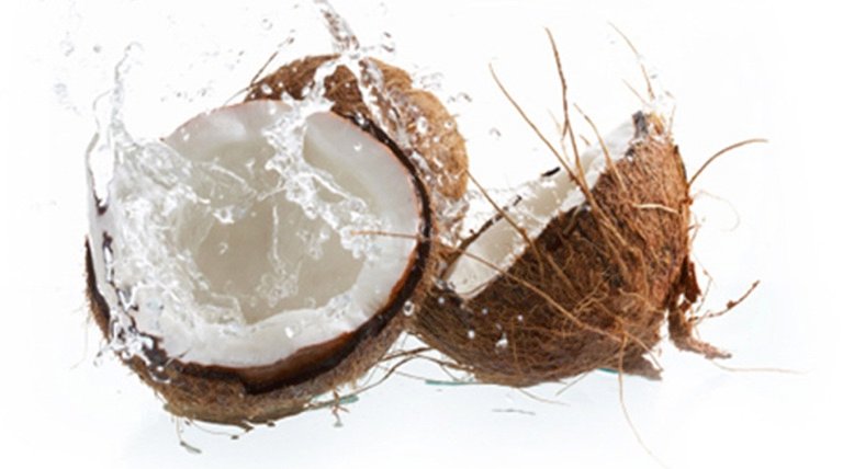 coconut1_DESKTOP cropped(3)