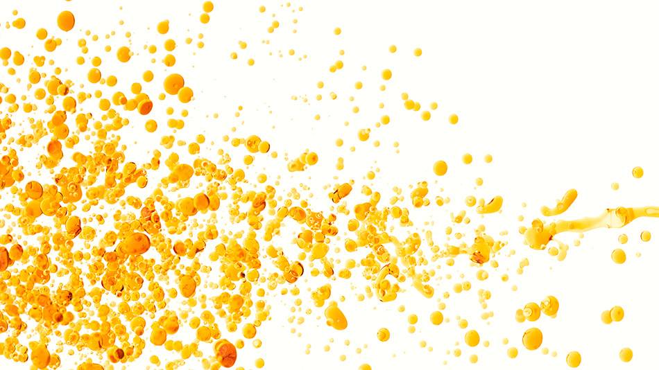 _FRE7225_DESKTOP_950