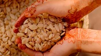 BP Argan Richness ULTRA DOUX SLICE 08 Article 2