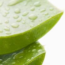 aloevera