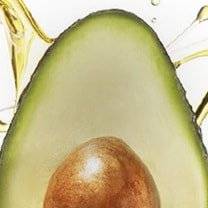 Avocat