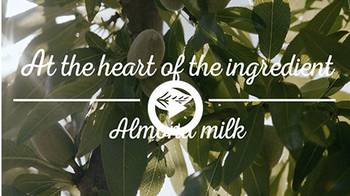 BP_ALMONDMILK_Desktop_11