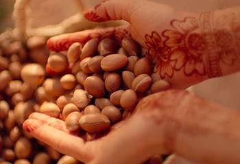 BP MoroccanArgan Desk SLICE 05 bloc1