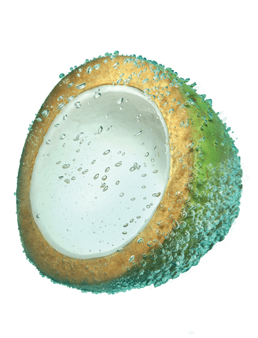 Ingredient_cocowater