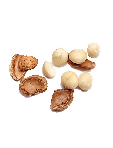 Ingredient_macadamia