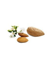 ingredients_amande