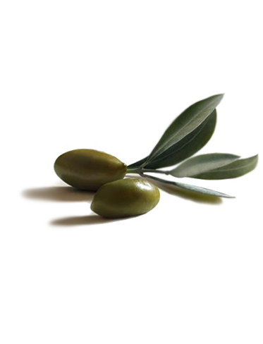 ingredients_olive