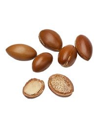 Ingredient ARGAN 373x488