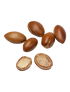 Ingredient ARGAN 373x488