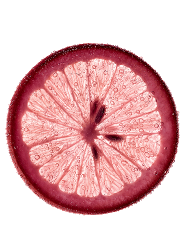 IngredientPAMPLEMOUSSE373x488png