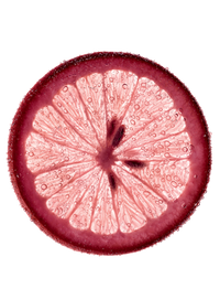 IngredientPAMPLEMOUSSE373x488png
