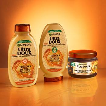 Vignette-Trsors-de-Miel