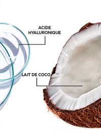 9272 GAR NUTRI COCO INGR 373X488 v2