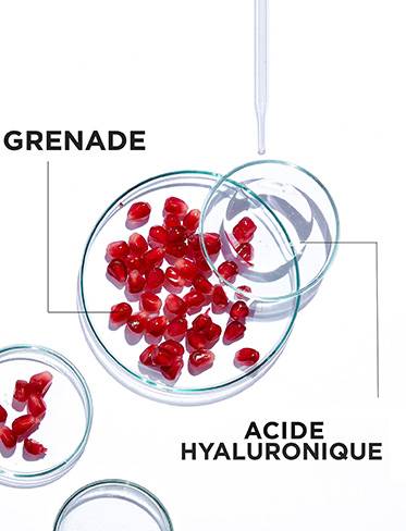 MASQUE-GRENADE---INGREDIENT-373x488