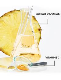 9272 GAR ANANAS INGR 373X488 v2