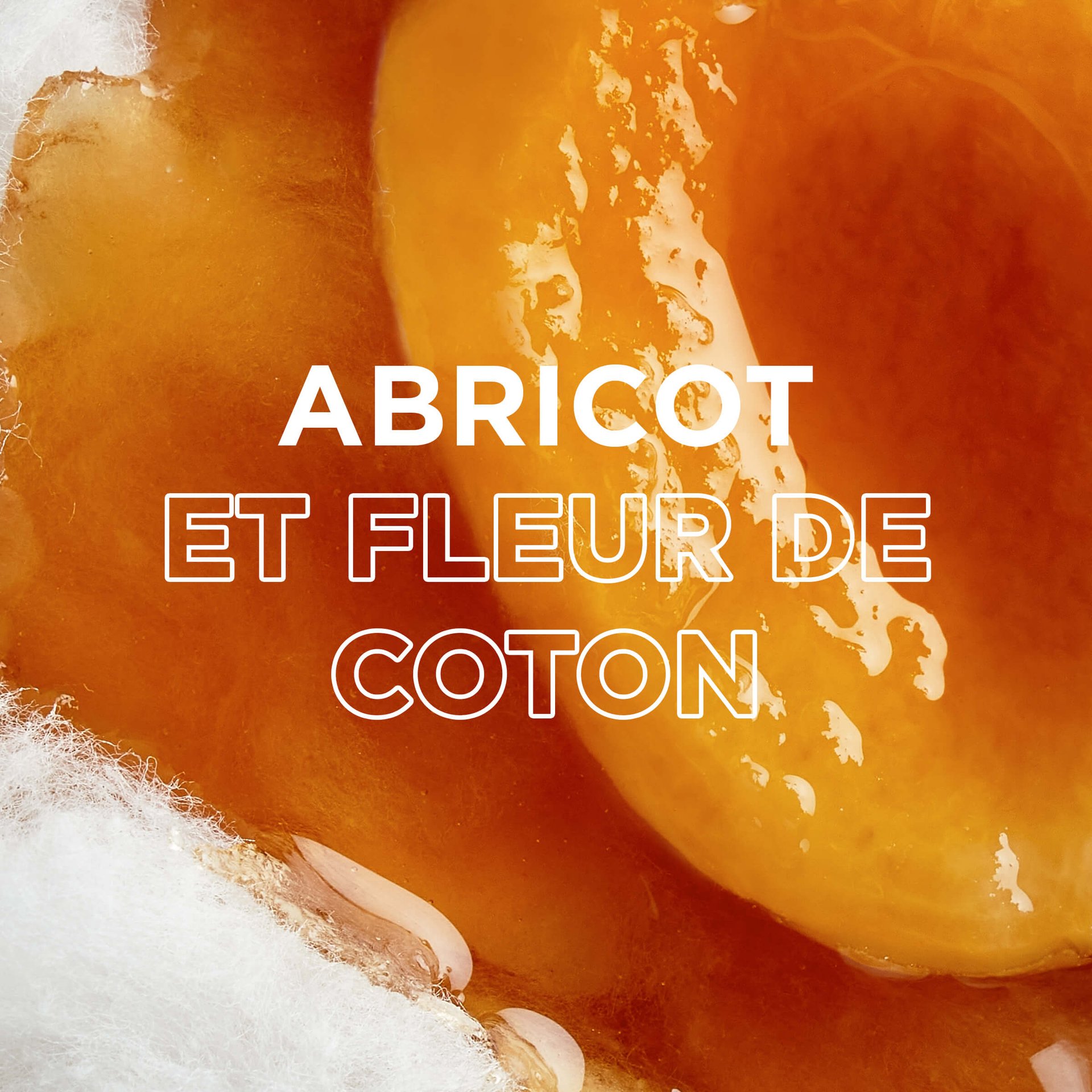 Abricot et fleur de coton
