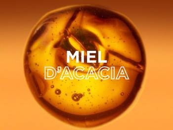 2430 GAR hairhoney SERUM TECH 600X450