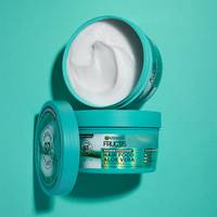 3985 GAR Aloe Vera fond mur