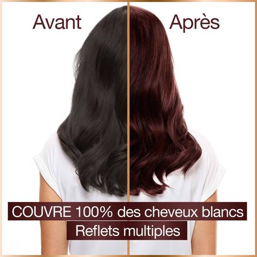 Coloration Capillaire SANOTINT - Teintes Disponibles : Blond, Châtain, Noir, Acajou, Groseille