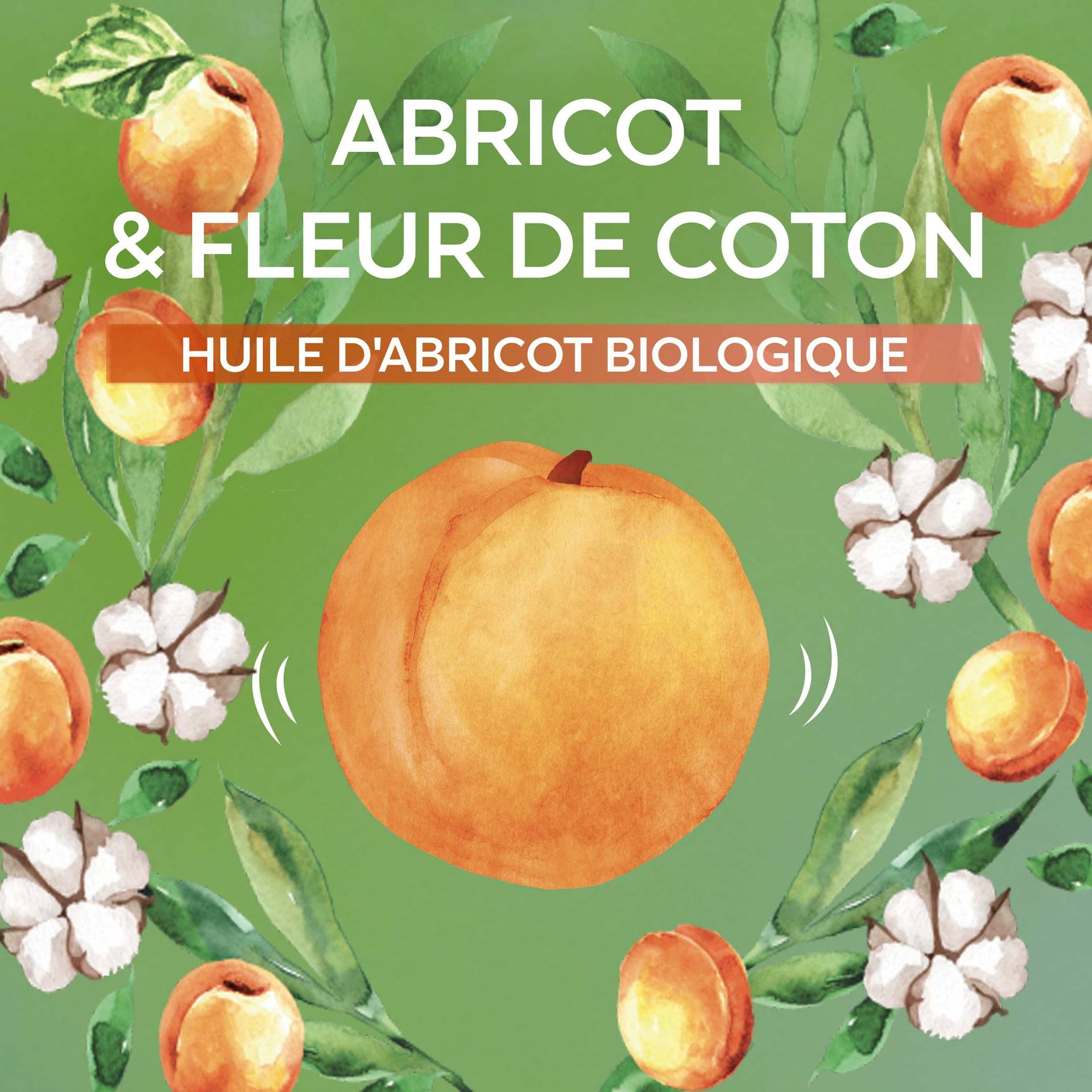 garnier ecom udkids Apricot Shampoo July2024 Ingredient