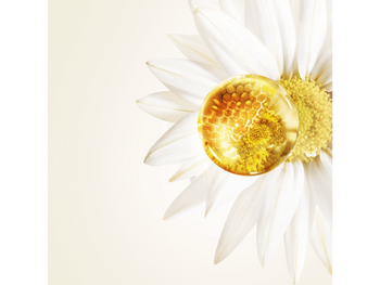 garnier ecom haircare ultradoux chamomille ingredients