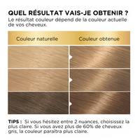 BELLE COLOR SHADE 11