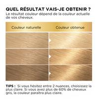 BELLE COLOR SHADE 110