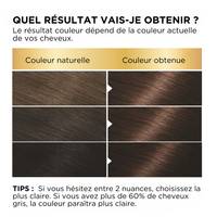 BELLE COLOR SHADE 22