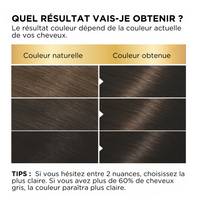 BELLE COLOR SHADE 24