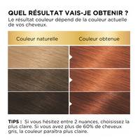 BELLE COLOR SHADE 48