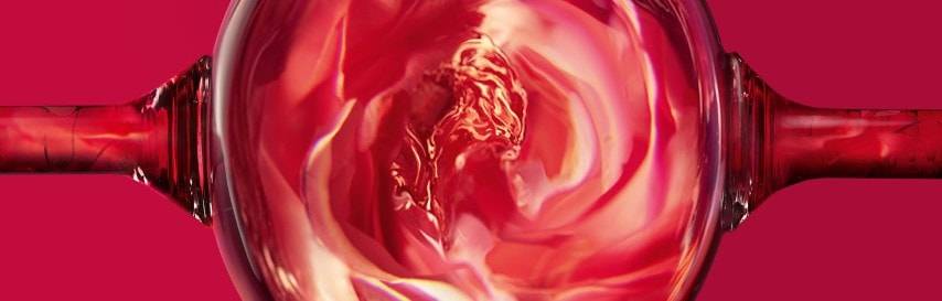 Garnier rose oil extract ingredient for hair color close-up