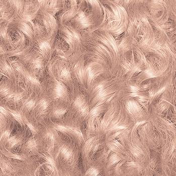 9680 GAR 9 12 WE BellecolorNaturals Texture Curly Oct2021 530X530